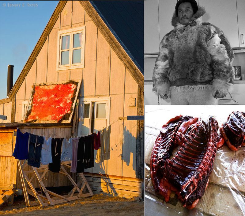 Andre krav til boligen end det traditionelle danske hjem? (Billeder fra internet).